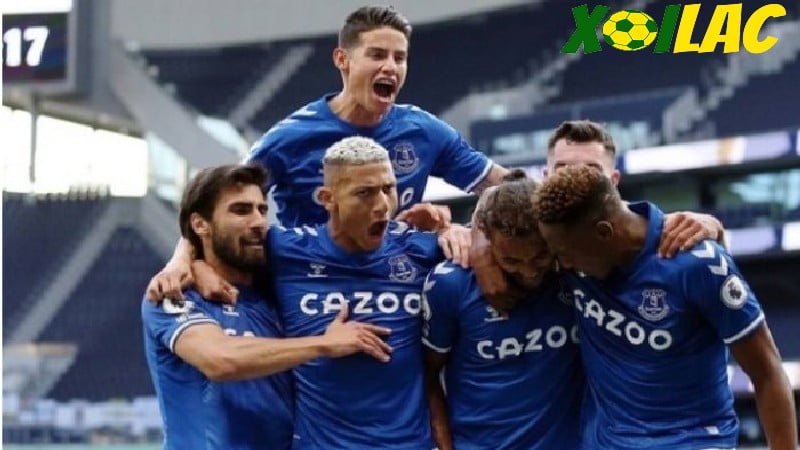 Thành tích câu lạc bộ Everton