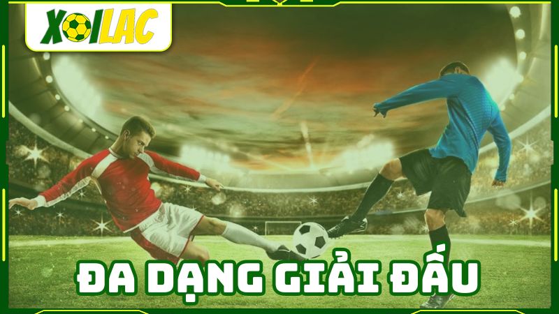 Xôi Lạc trực tiếp bóng đá hôm nay đa dạng giải đấu
