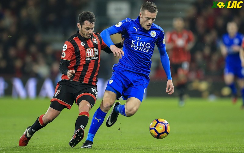 Bournemouth sẽ tiếp đón Leicester trên sân nhà tại vòng 1/8 FA Cup Bournemouth sẽ tiếp đón Leicester trên sân nhà tại vòng 1/8 FA Cup