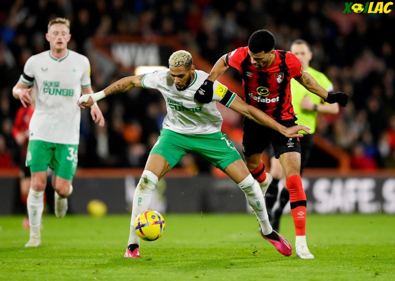 Newcastle đối đầu Bournemouth tại vòng 25 Ngoại Hạng Anh Newcastle đối đầu Bournemouth tại vòng 25 Ngoại Hạng Anh