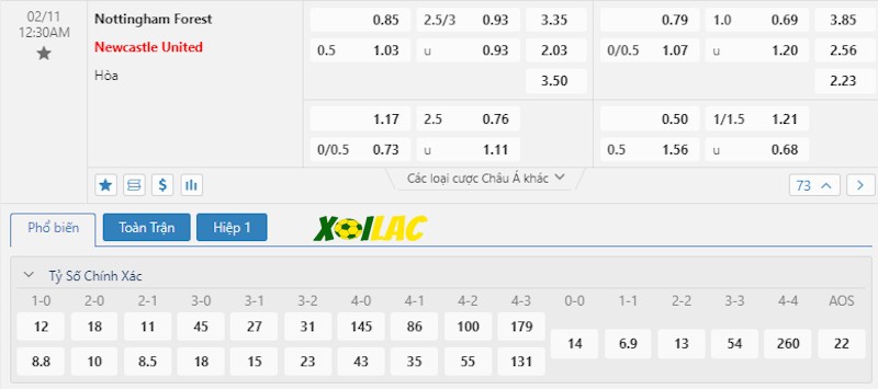 Soi kèo Nottingham Forest vs Newcastle 11/02/2024 – Tỷ lệ kèo Soi kèo Nottingham Forest vs Newcastle 11/02/2024 – Tỷ lệ kèo