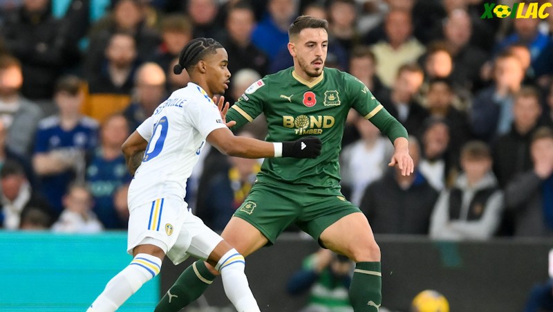 Cặp trận tại FA Cup giữa Plymouth Argyle vs Leeds được dự đoán vô cùng hấp dẫn