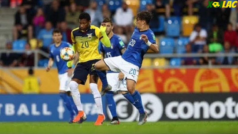 Italia sẽ có trận cầu giao hữu với Ecuador Italia sẽ có trận cầu giao hữu với Ecuador