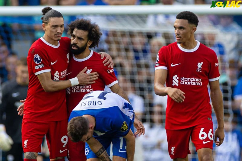 Liverpool sẽ tiếp đón Brighton trên sân nhà tại vòng 30 Ngoại Hạng Anh Liverpool sẽ tiếp đón Brighton trên sân nhà tại vòng 30 Ngoại Hạng Anh