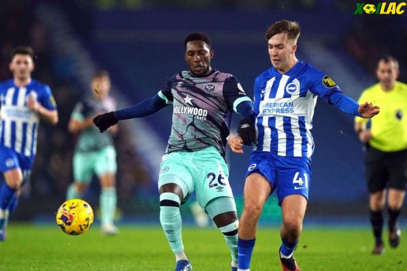 Brentford sẽ tiếp đón Brighton trên sân nhà 