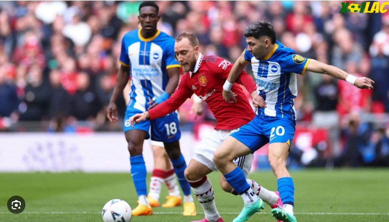 Brighton đối đầu với Manchester United Brighton đối đầu với Manchester United