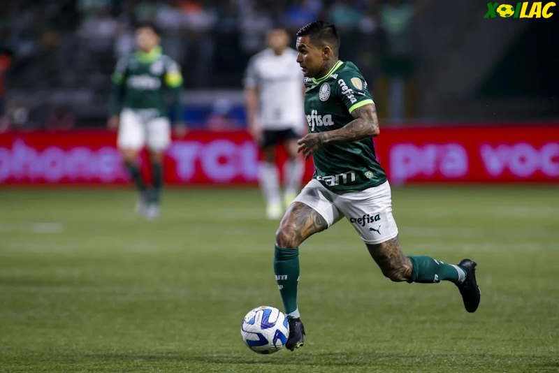 Palmeiras SP sẽ đối đầu với Vasco Da Gama trên sân nhà Palmeiras SP sẽ đối đầu với Vasco Da Gama trên sân nhà