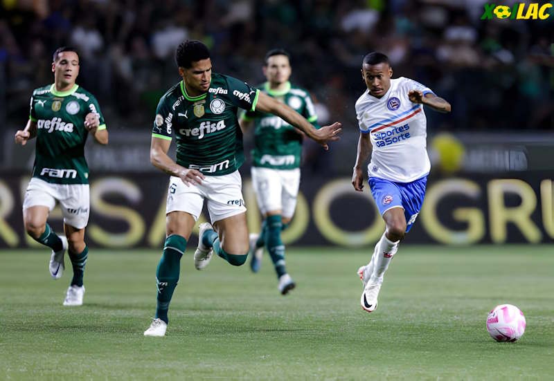 Palmeiras sẽ đối đầu với Bahia tại vòng 15 VĐQG Brazil
