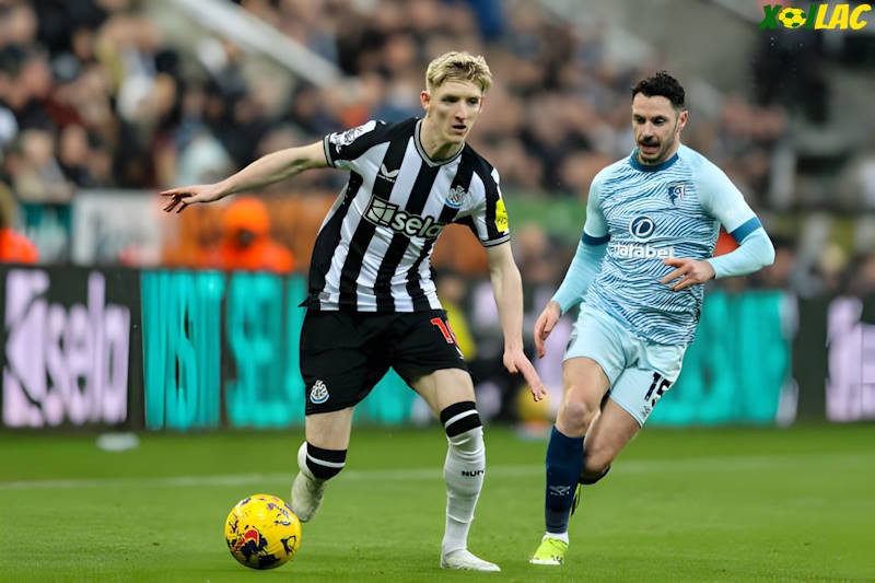 Bournemouth sẽ đối đầu với Newcastle tại vòng 2 Ngoại Hạng Anh Bournemouth sẽ đối đầu với Newcastle tại vòng 2 Ngoại Hạng Anh