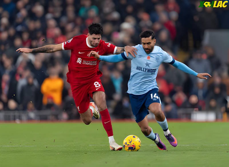 Liverpool sẽ đối đầu với Brentford tại vòng 2 Ngoại Hạng Anh Liverpool sẽ đối đầu với Brentford tại vòng 2 Ngoại Hạng Anh