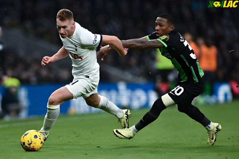 Brighton đối đầu Tottenham tại vòng 6 Ngoại Hạng Anh Brighton đối đầu Tottenham tại vòng 6 Ngoại Hạng Anh