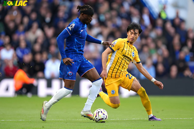 Brighton sẽ tiếp đón Chelsea trên sân nhà tại vòng 25 Ngoại Hạng Anh