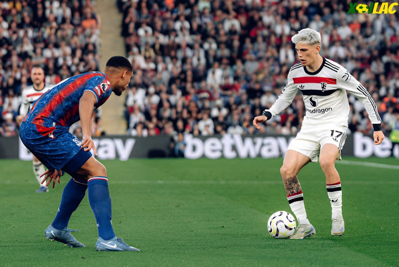 Manchester United sẽ đối đầu Crystal Palace tại vòng 24 Ngoại Hạng Anh Manchester United sẽ đối đầu Crystal Palace tại vòng 24 Ngoại Hạng Anh
