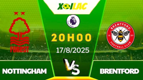 nottingham-vs-brentford