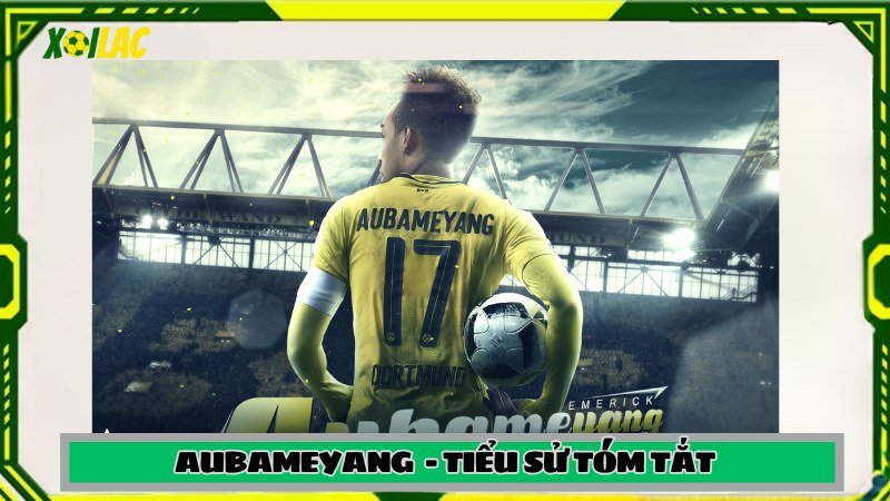 Tiểu sử tóm tắt Aubameyang