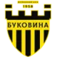 Logo Bukovyna 2