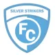 Logo Silver Strikers