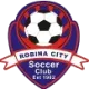 Logo Robina City Blue