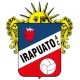 Logo Irapuato