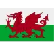 Logo Wales