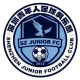 Logo Shenzhen Juniors U15