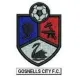 Logo Gosnells City