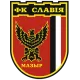 Logo Slavia Mozyr
