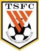 Logo Shandong Taishan U17