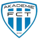 Logo Taborsko Akademie