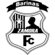 Logo Zamora Barinas
