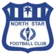 Logo North Star