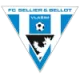 Logo FK Graffin Vlasim