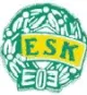 Logo Enkoping