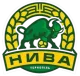 Logo Nyva Ternopil B