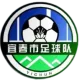 Logo Yichun Team