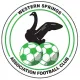 Logo Western Springs AFC