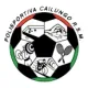 Logo Cailungo