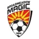 Logo Broadmeadow Magic Reserves