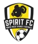 Logo NWS Spirit (w)