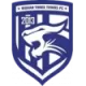 Logo Wuhan Three Towns U15