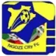 Logo Ngozi City FC