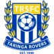 Logo Taringa Rovers