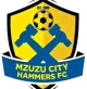 Logo Mzuzu City Hammers
