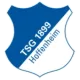 Logo TSG Hoffenheim (Youth)