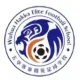 Logo Wuhua Huajing