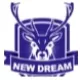 Logo Beijing Daxing District Sports School Women's Football U14