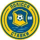 Logo Polissya Stavky