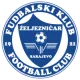 Logo FK Zeljeznicar