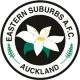 Logo Eastern Suburbs AFC
