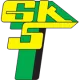 Logo Gornik Leczna